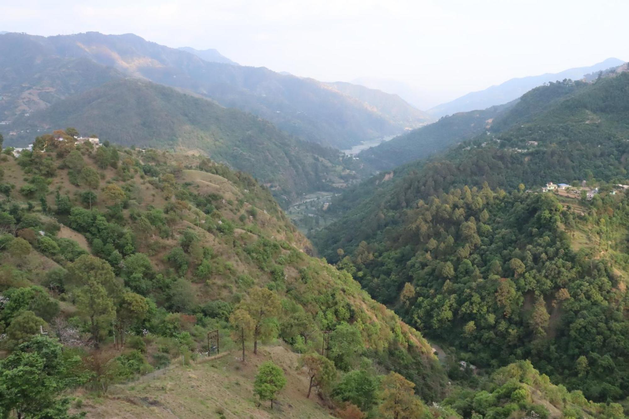 The Ghungrees Hotel Solan Exterior photo
